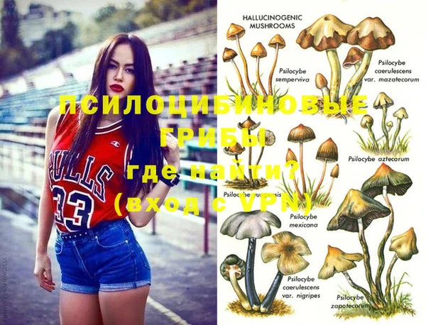 прущие крисы Осташков