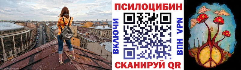 MEGA вход  Новочеркасск  Галлюциногенные грибы MAGIC MUSHROOMS 