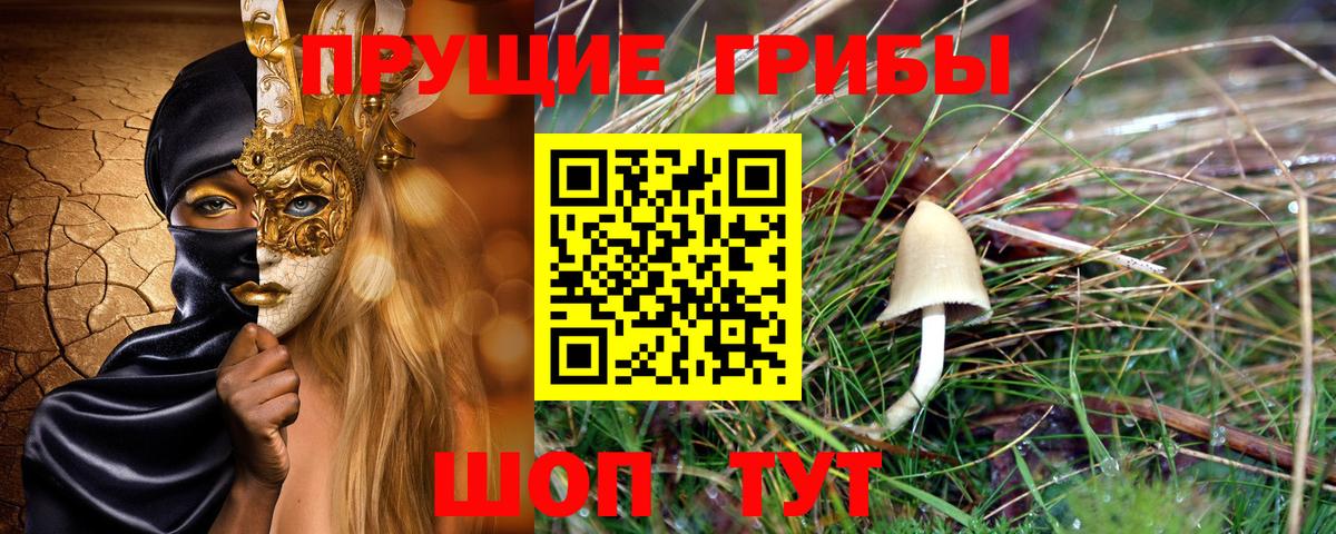 Псилоцибиновые грибы GOLDEN TEACHER  Вход с VPN  Новочеркасск  Псилоцибиновые грибы Psilocybe 