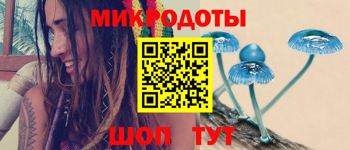 Галлюциногенные грибы Psilocybine cubensis Новочеркасск