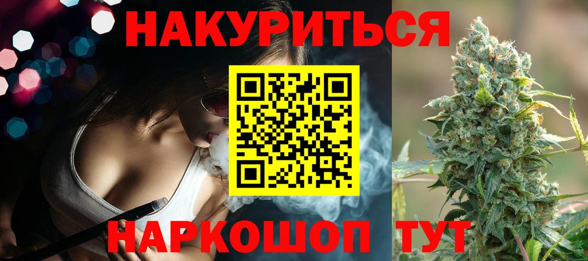 A PVP Новочеркасск